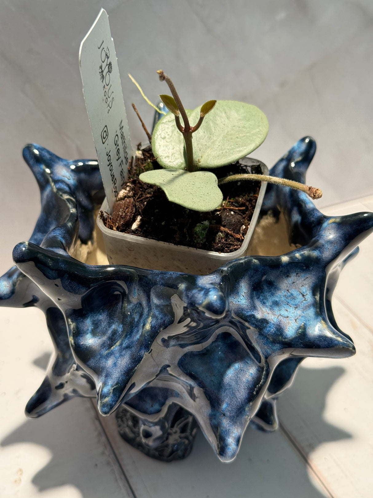 D-945 Mathilde ‘Grey Fairy’