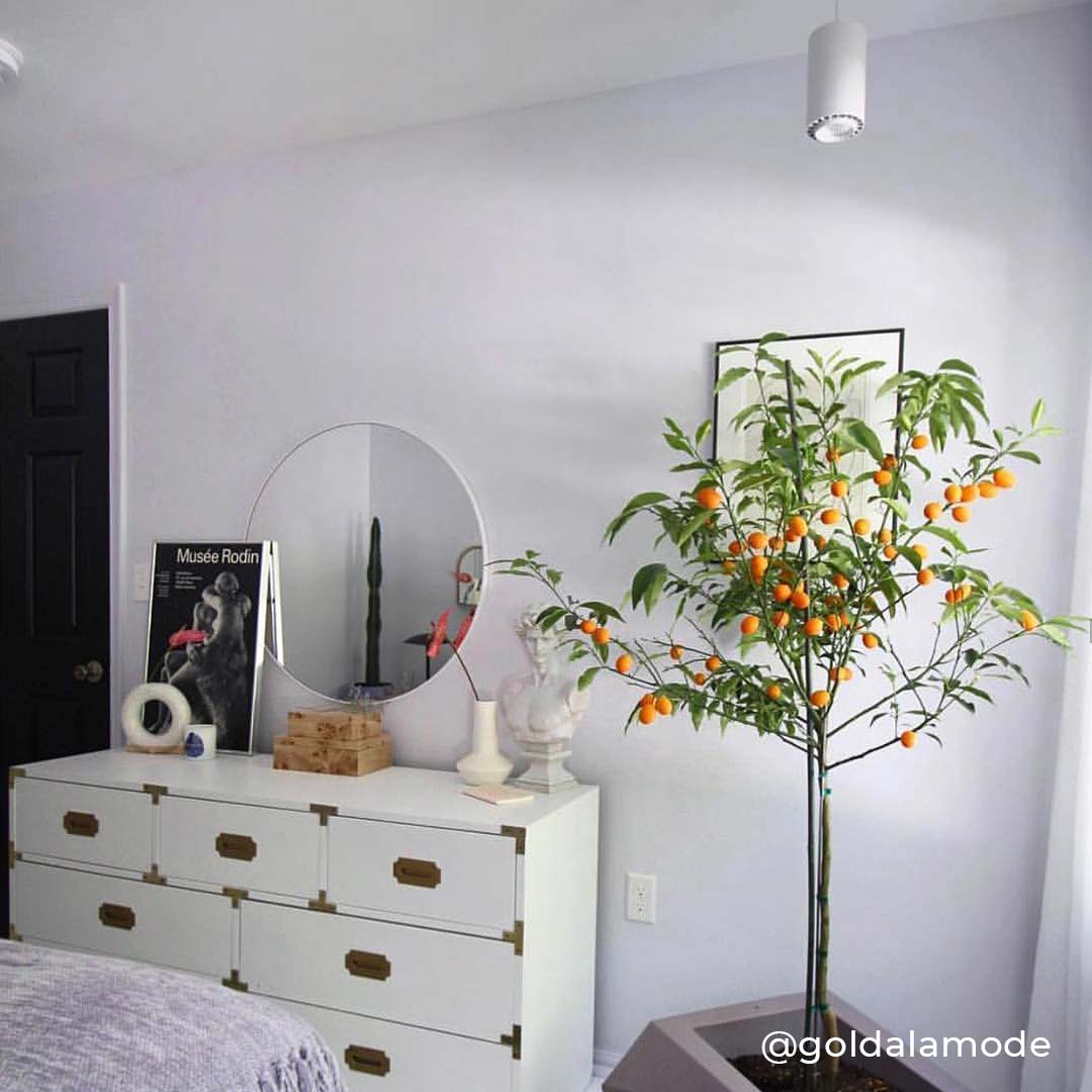 Soltech - Aspect™ LED Growlight (Large 40w ● White)