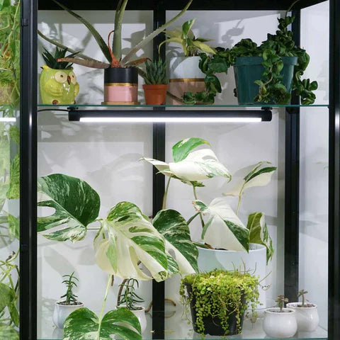 Soltech -Grove™ LED Grow Light (Black)