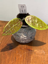 A-963 RHM 14-1 (splash)