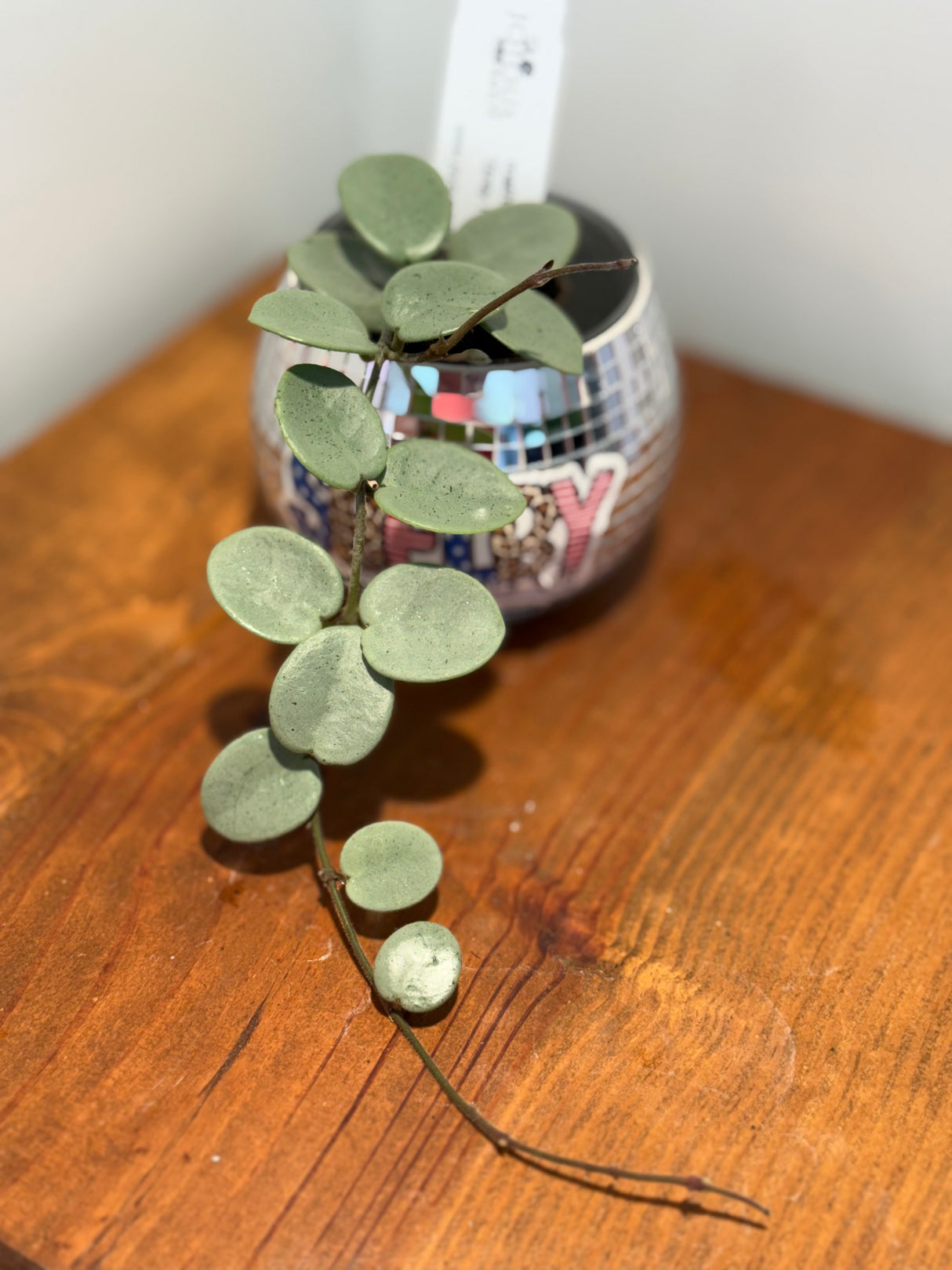 A-195 mathilde ‘Grey Fairy’