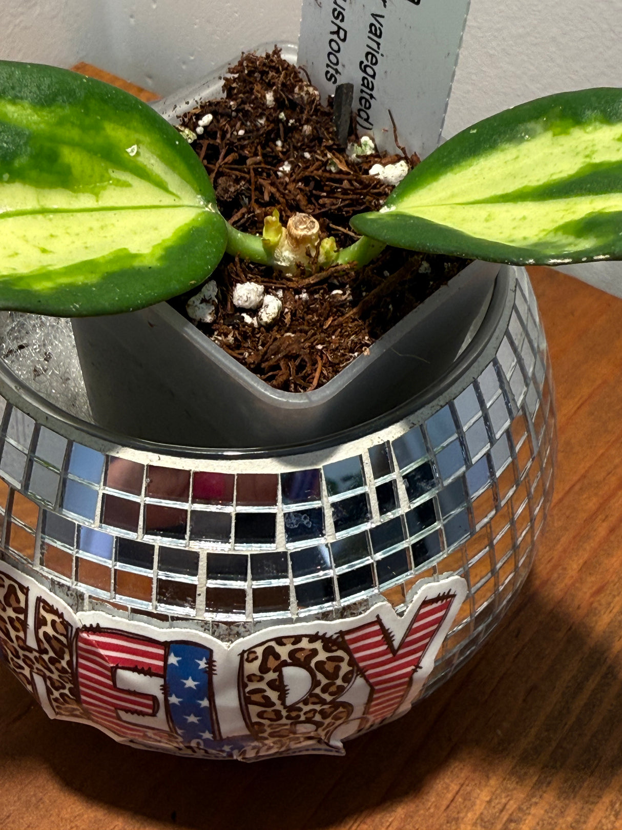 D-327 para (inner variegated)