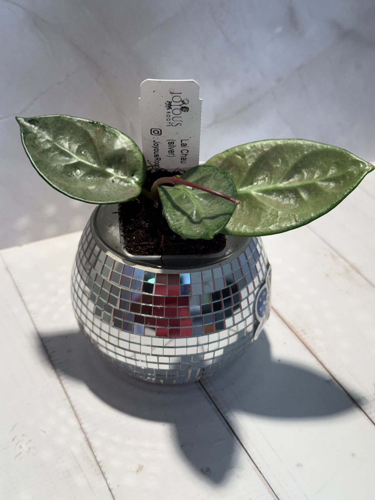 D-471 Lai Chau (silver)