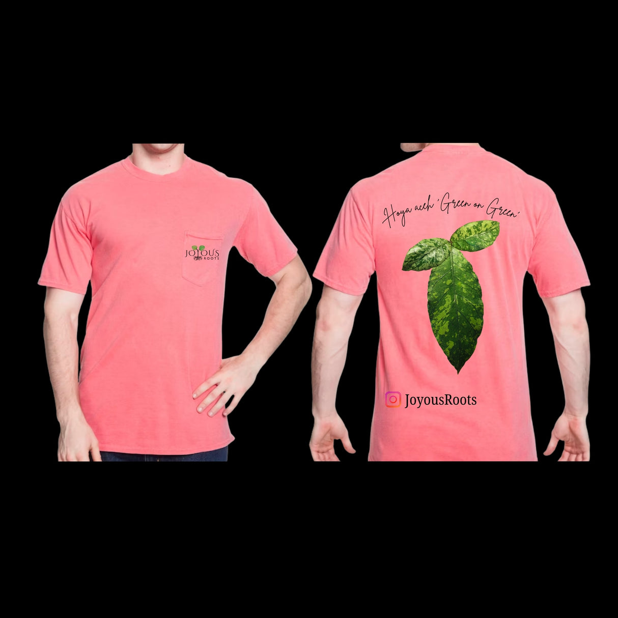 JR Hoya Aceh Green on Green