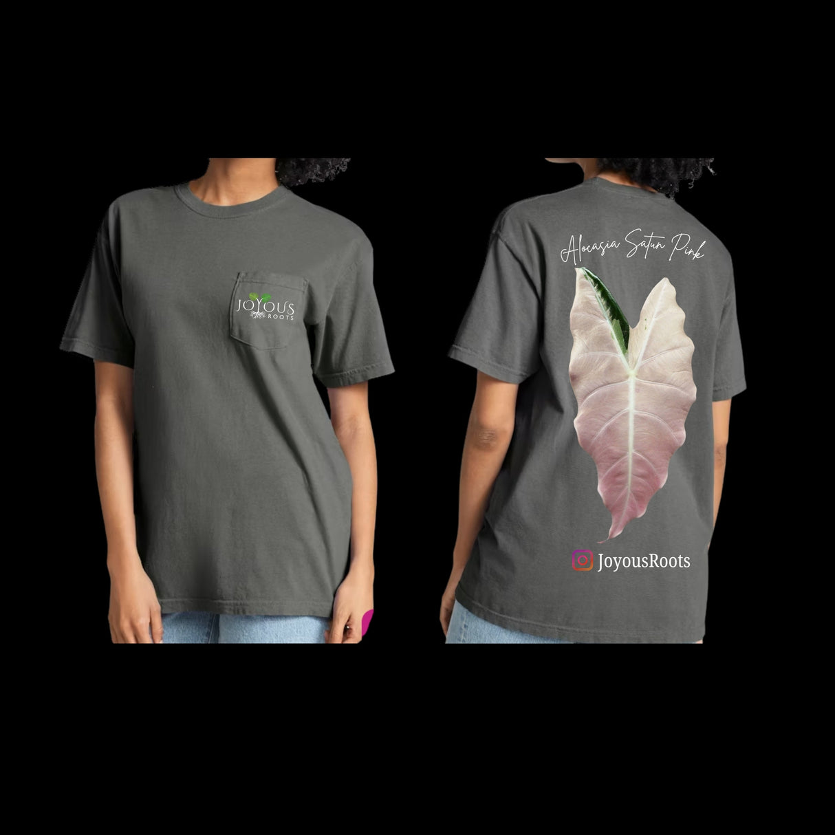 JR Alocasia Satun Pink